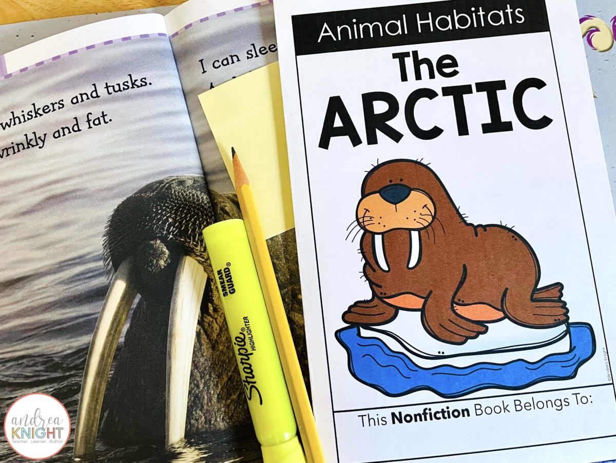 Animal Habitats Activities and Resources for Second Grade