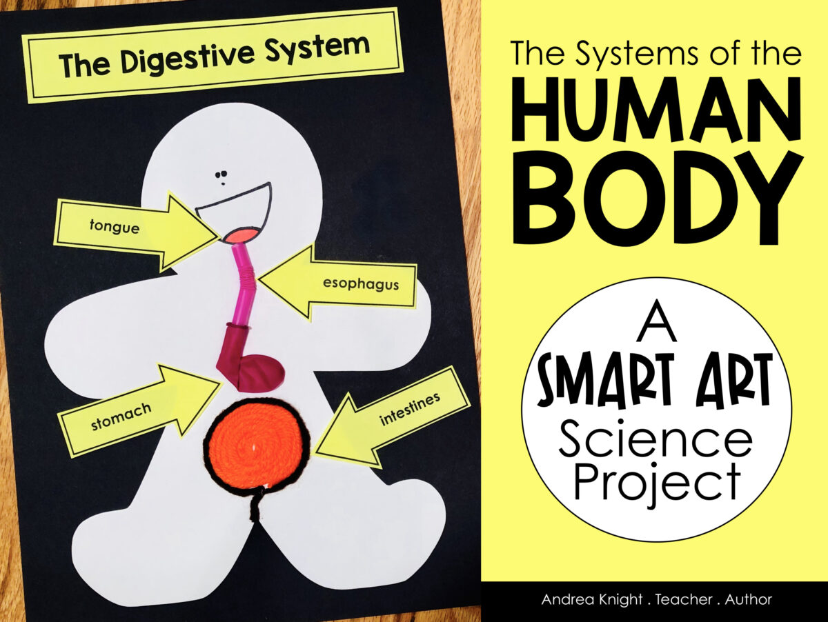 Human Body Project for Kids